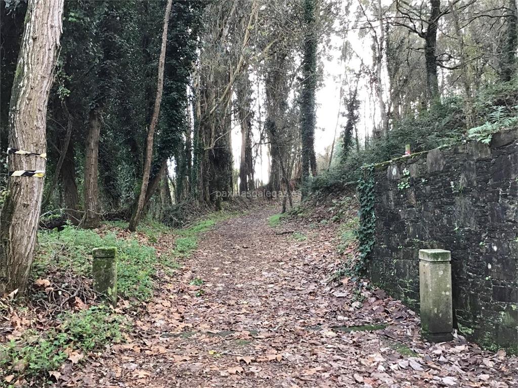 imagen principal Bosque dos Veciños