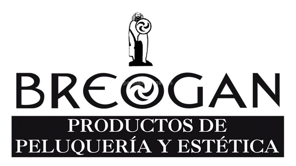 logotipo Breogán