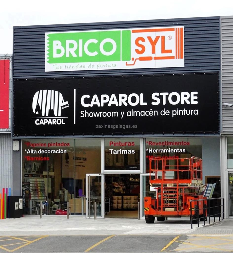 imagen principal Bricosyl