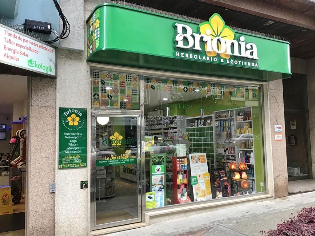 imagen principal Brionia