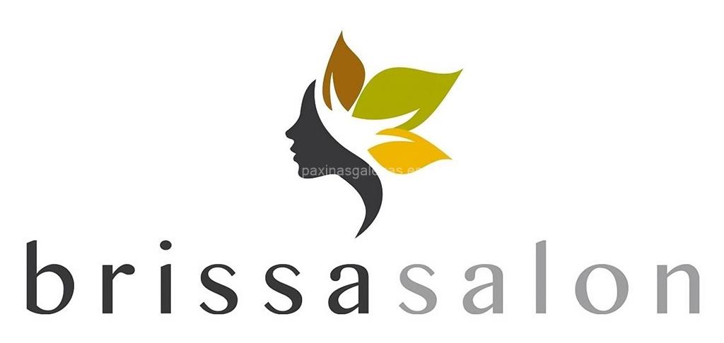 logotipo Brissa Salón