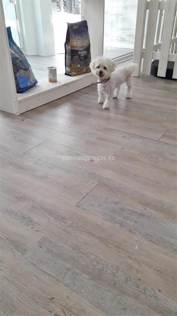 Burbujas Spa imagen 10