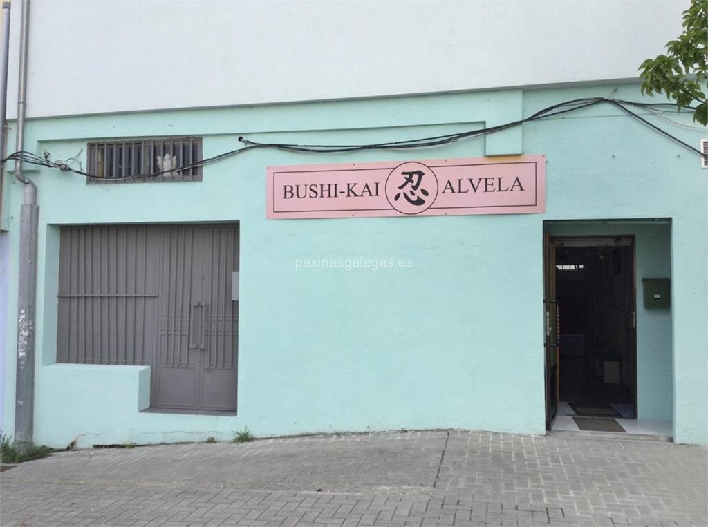 imagen principal Bushi-Kai Alvela