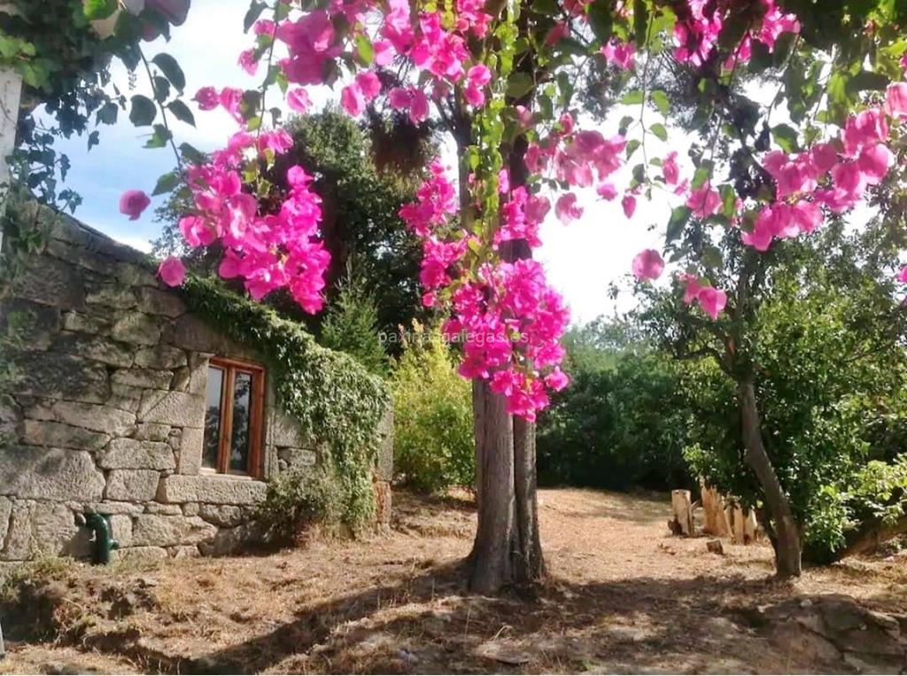 imagen principal Cabaña Piedra