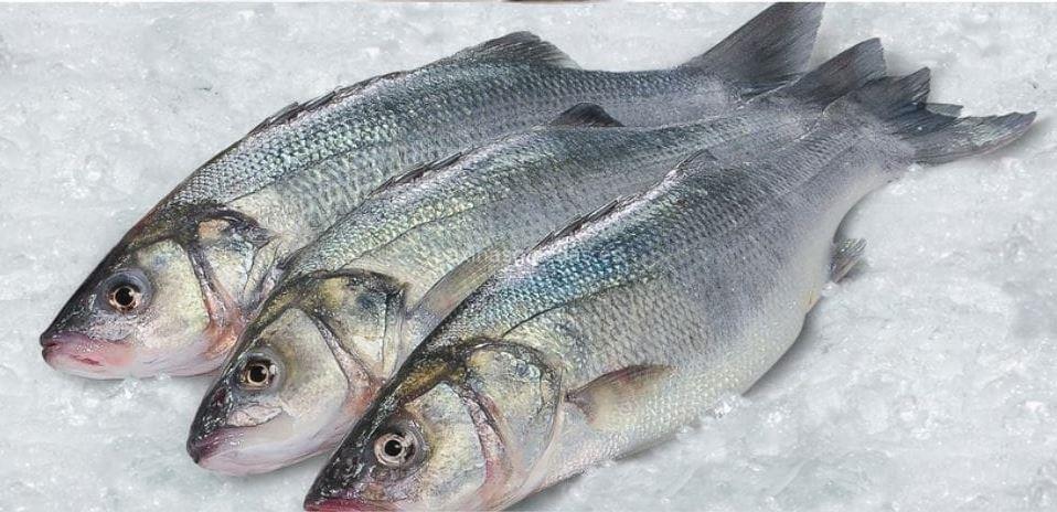 imagen principal Cachanpesca
