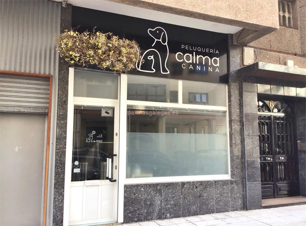imagen principal Calma Canina
