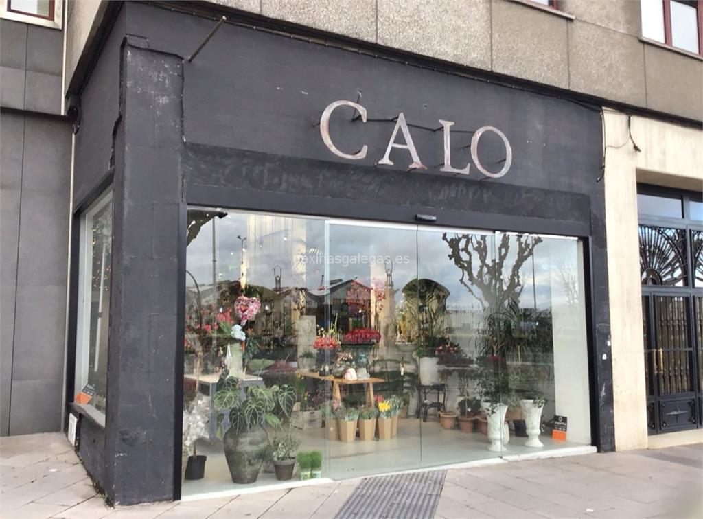 imagen principal Calo