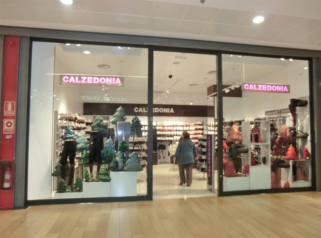 imagen principal Calzedonia