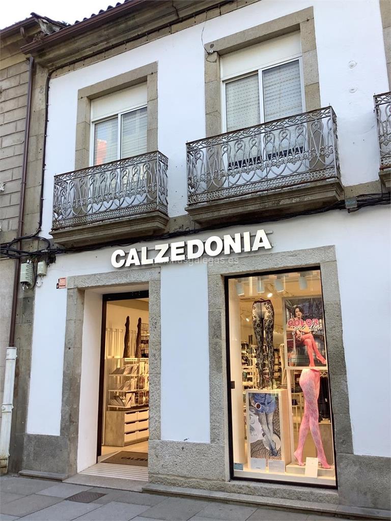 imagen principal Calzedonia