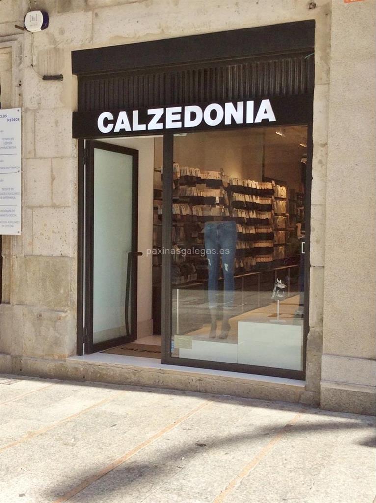 imagen principal Calzedonia