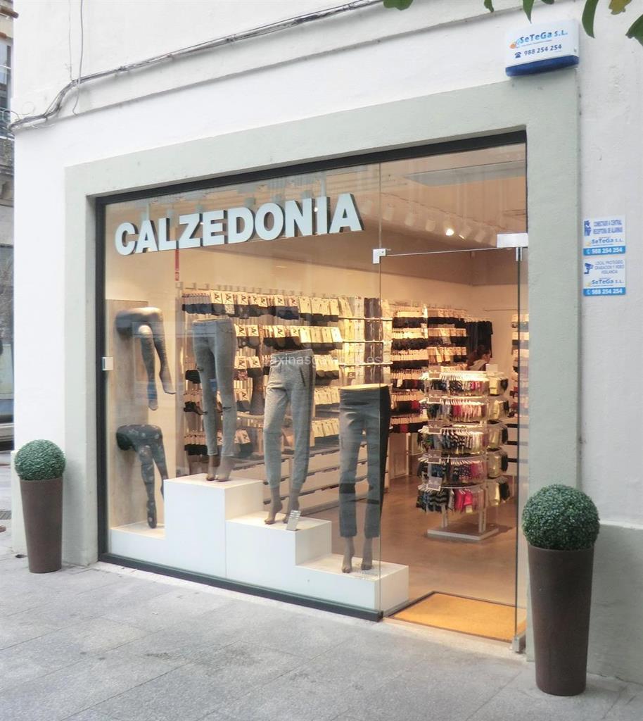 imagen principal Calzedonia