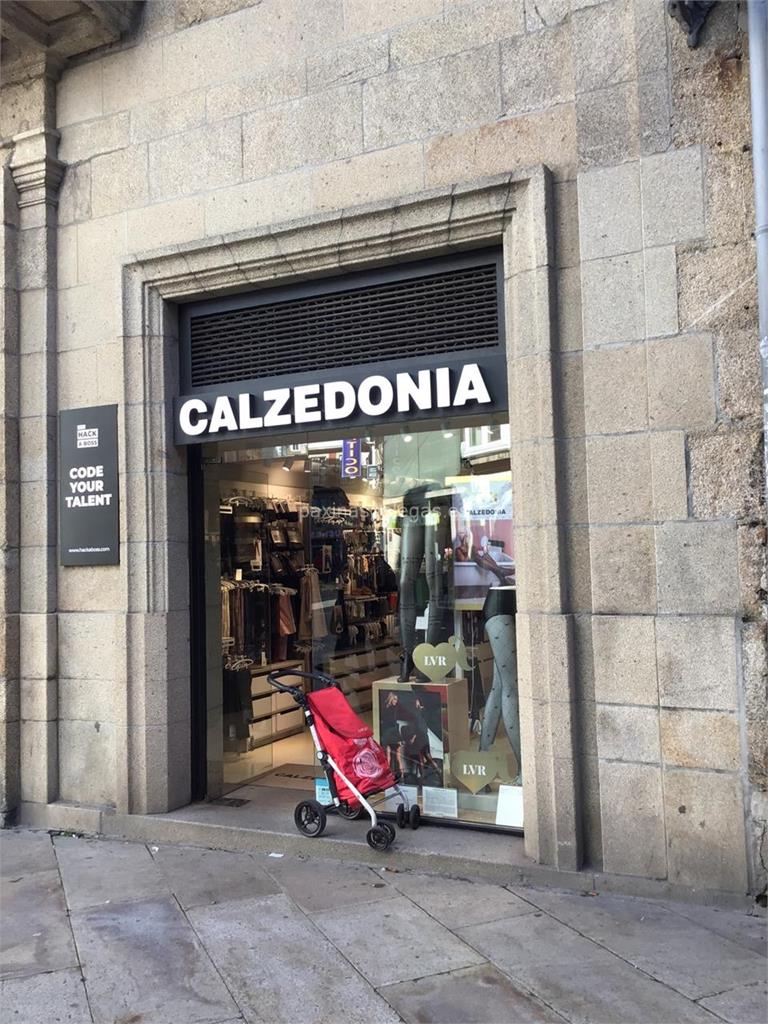 imagen principal Calzedonia