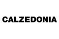 logotipo Calzedonia