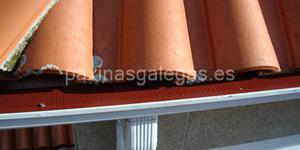 Foto de la empresa (3)