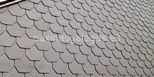 Foto de la empresa (1)