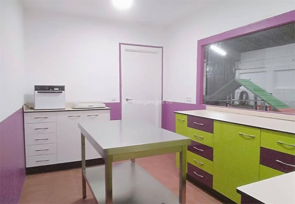 imagen principal Canedupo