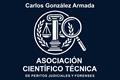 logotipo Carlos González Armada