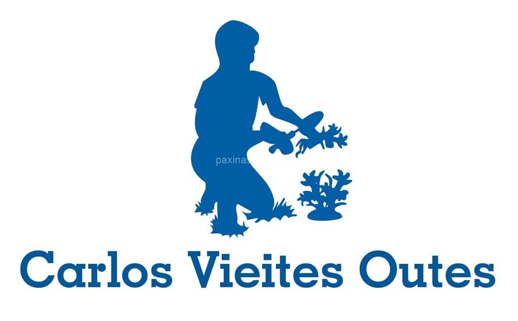 logotipo Carlos Vieites Outes