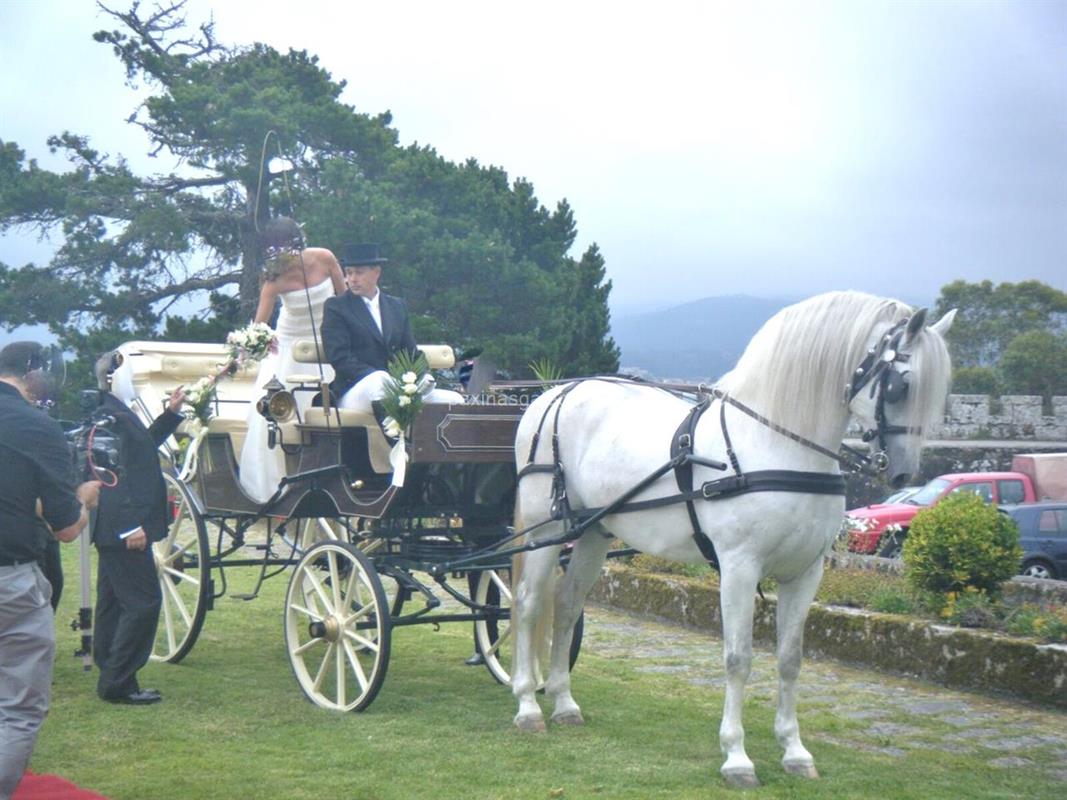 Coches De Alquiler Carruajes Galicia En Oleiros