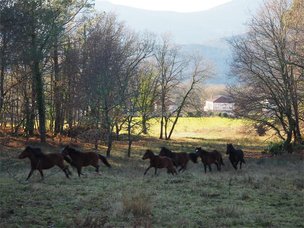 Casa Rural Rodeado 