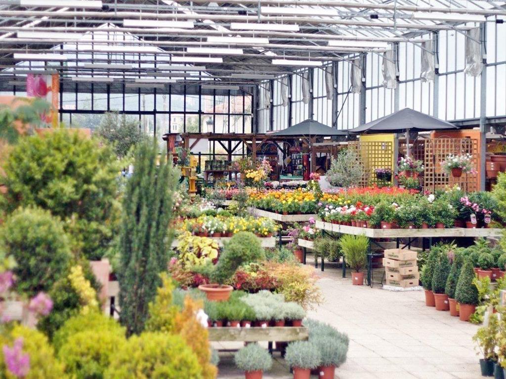 Jardinería Casaplanta Vigo