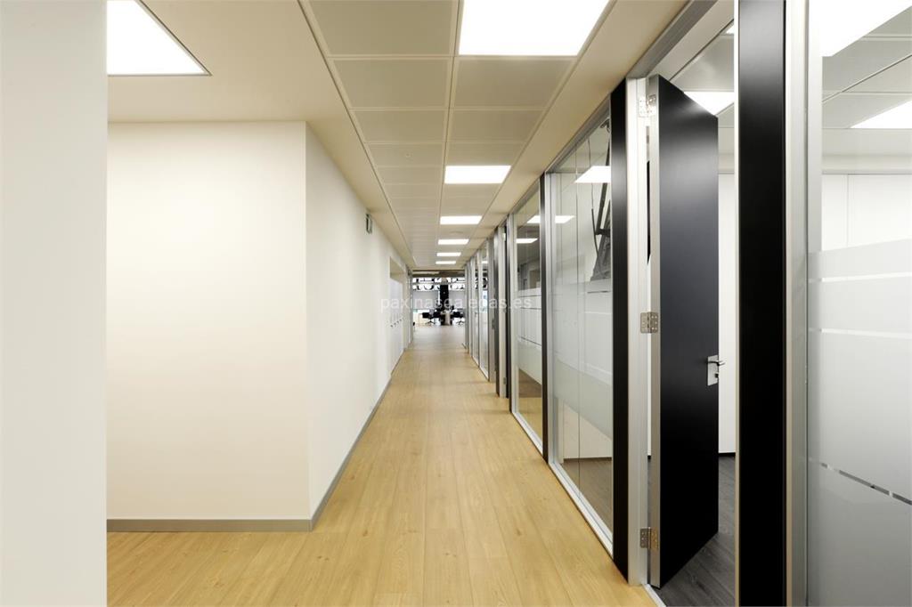 Cascudo Correduría de Seguros imagen 18