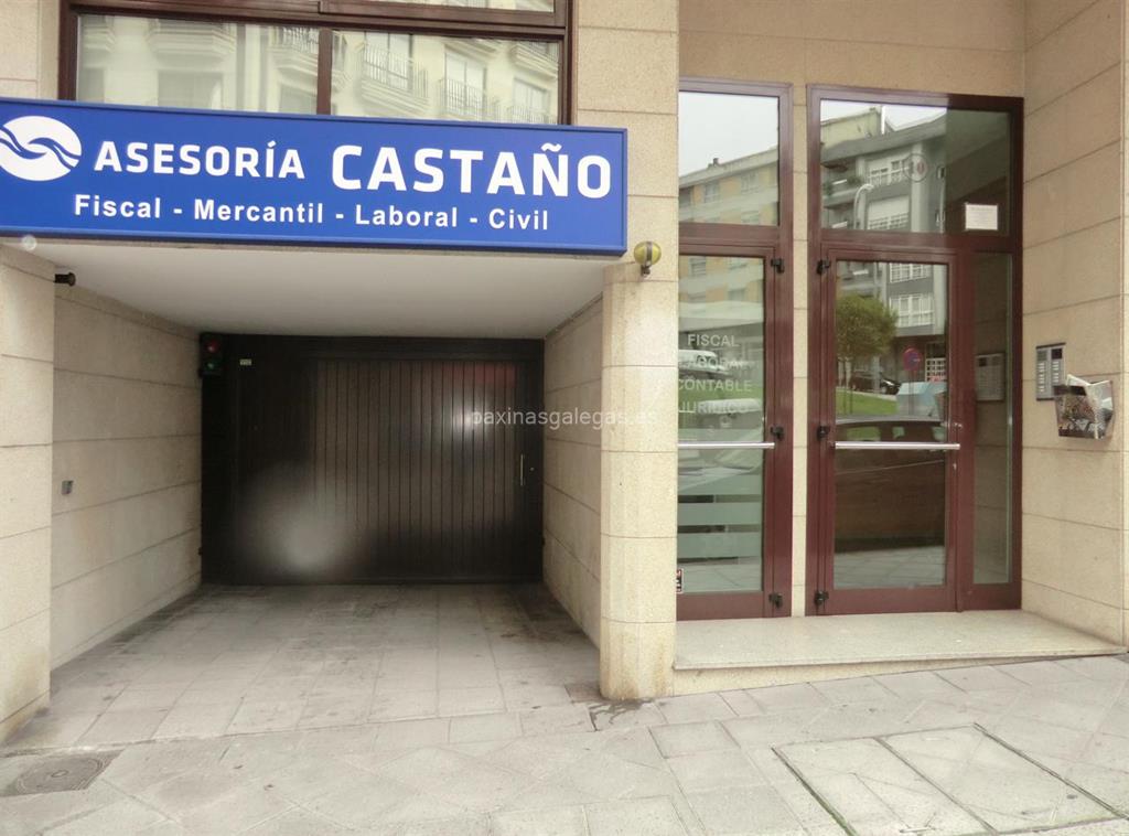 imagen principal Castaño