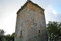 imagen principal Castillo-Torre de Castroverde