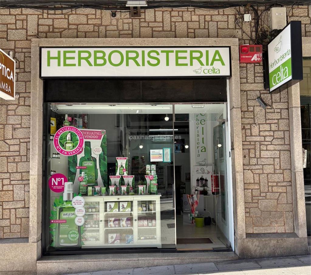 imagen principal Celta