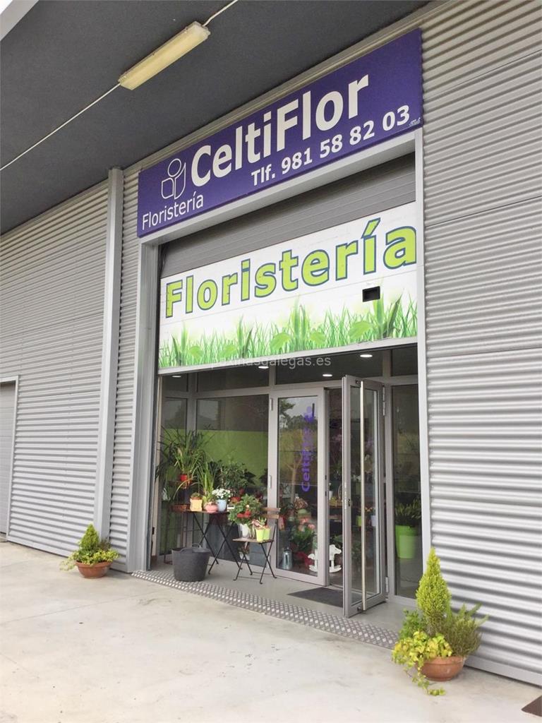 imagen principal Celtiflor