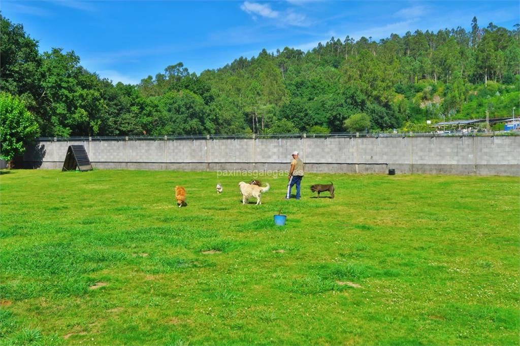 Centro Canino Daponte imagen 9