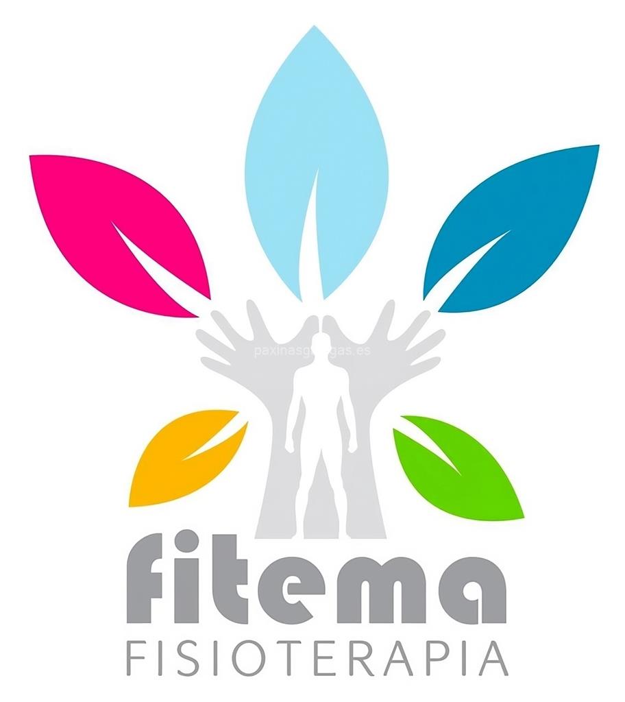 logotipo Centro Fitema