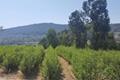 imagen principal Centro Forestal Rias Baixas