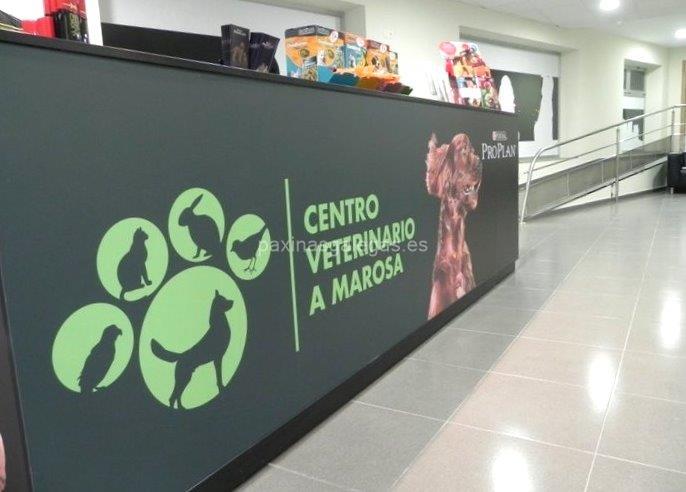 Centro Veterinario A Marosa imagen 20