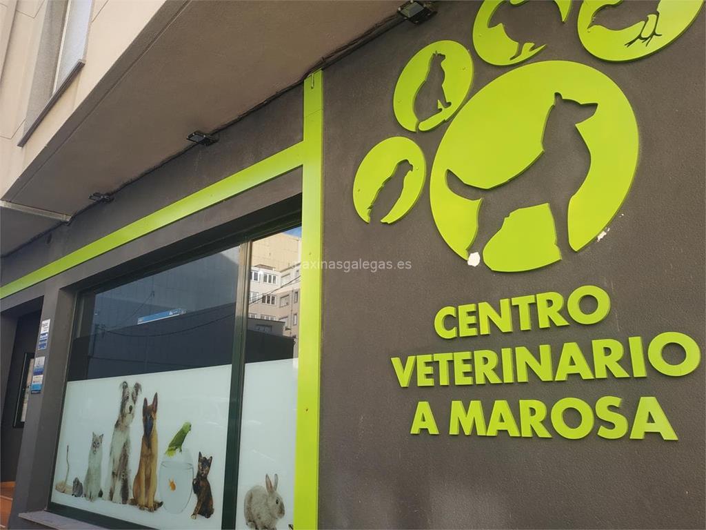 imagen principal Centro Veterinario A Marosa