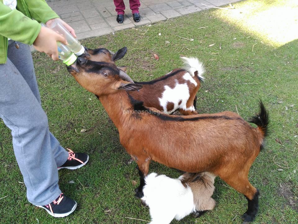 Centro Veterinario Carril imagen 20