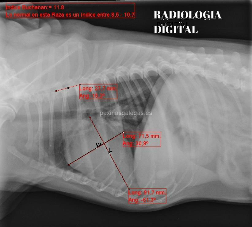 Centro Veterinario Pontevedra imagen 6