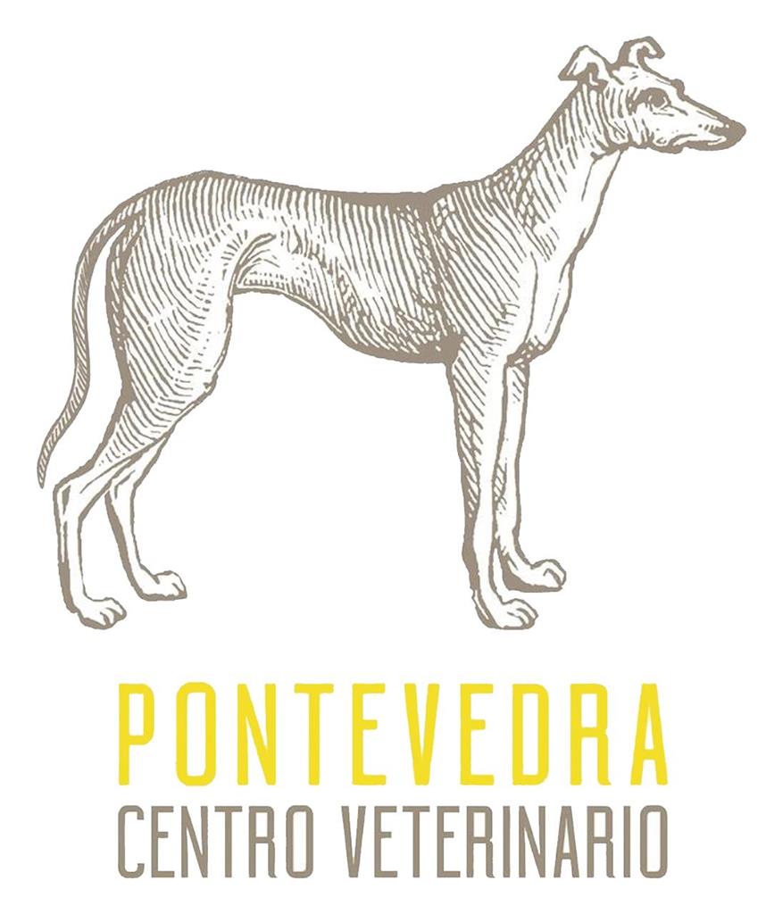 logotipo Centro Veterinario Pontevedra