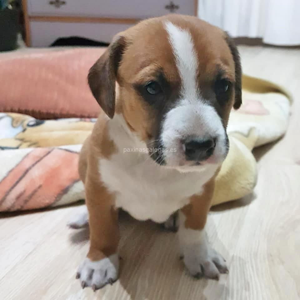 Centro Veterinario San Marcos imagen 18