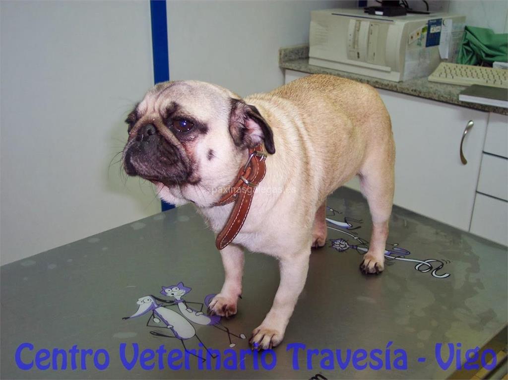 Centro Veterinario Travesía imagen 21