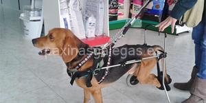Foto de la empresa (1)