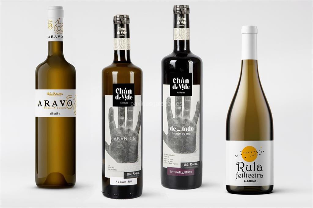 imagen principal Chan de Vide (Aravo / Albariño)