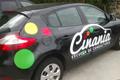 imagen principal Cinania