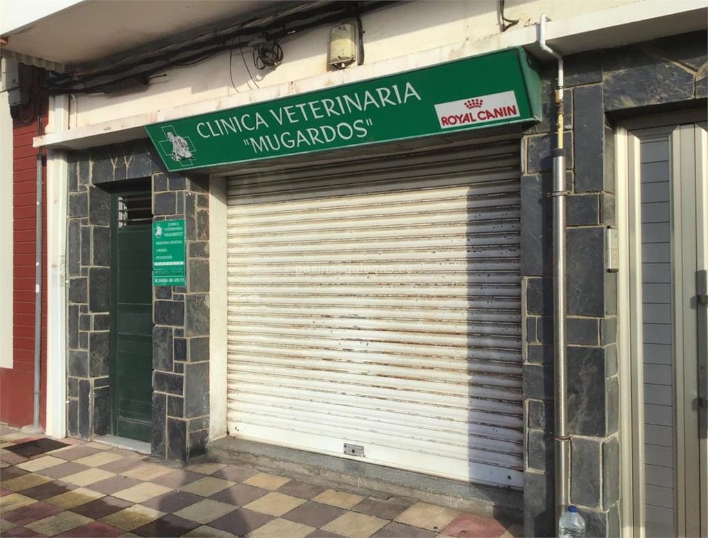 imagen principal Clínica Veterinaria Albeitre