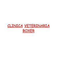 Logotipo Clínica Veterinaria Boxer