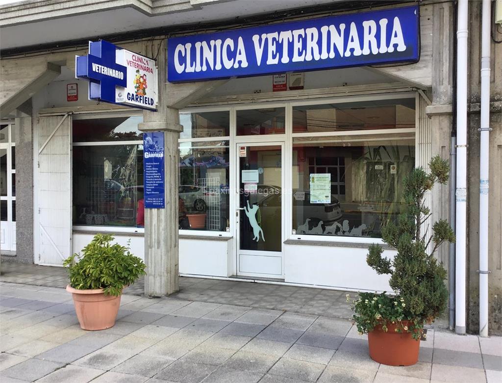 imagen principal Clínica Veterinaria Garfield