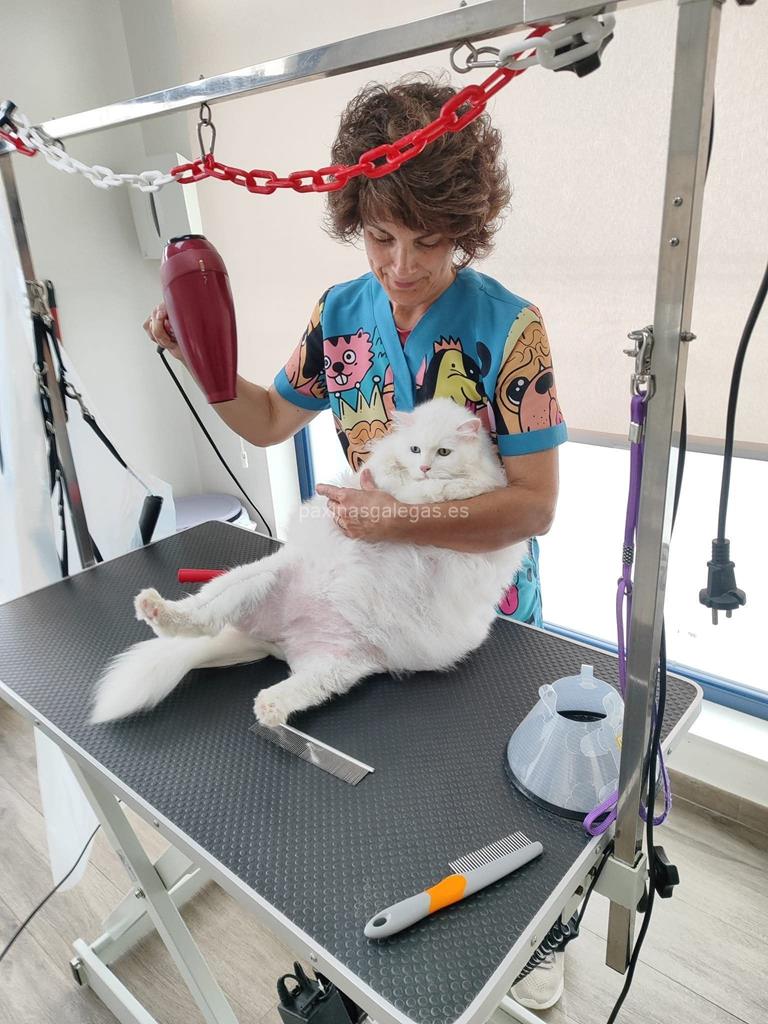 Clínica Veterinaria Occidente imagen 11