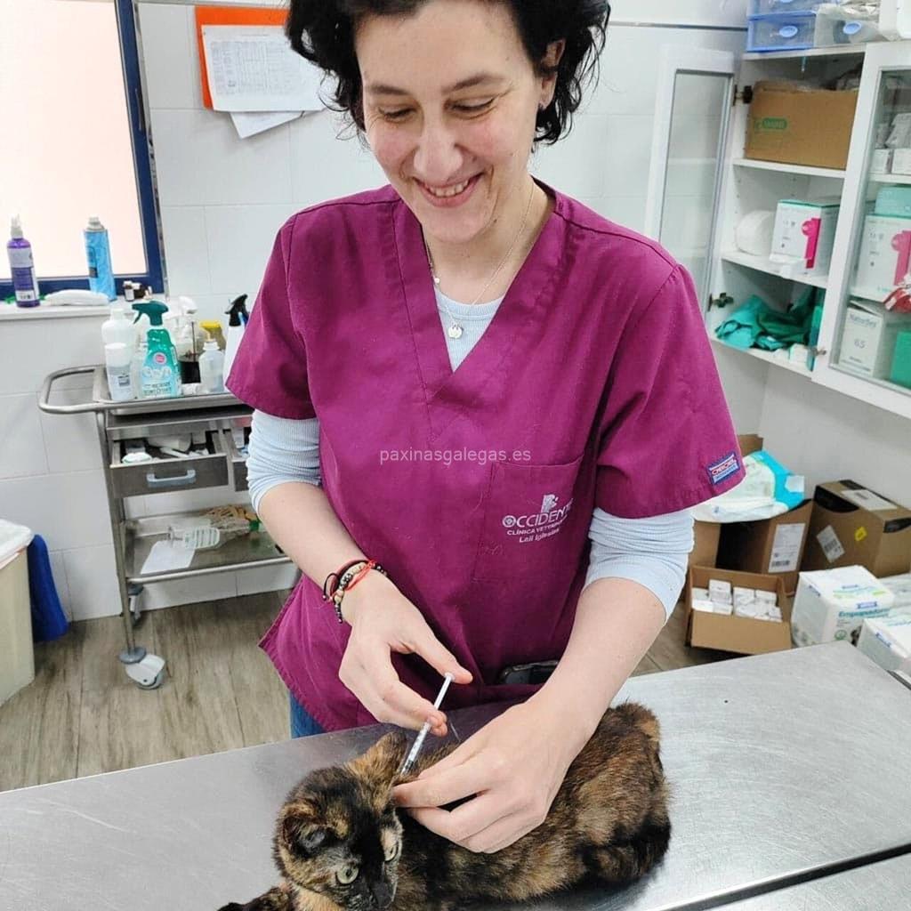 Clínica Veterinaria Occidente imagen 20