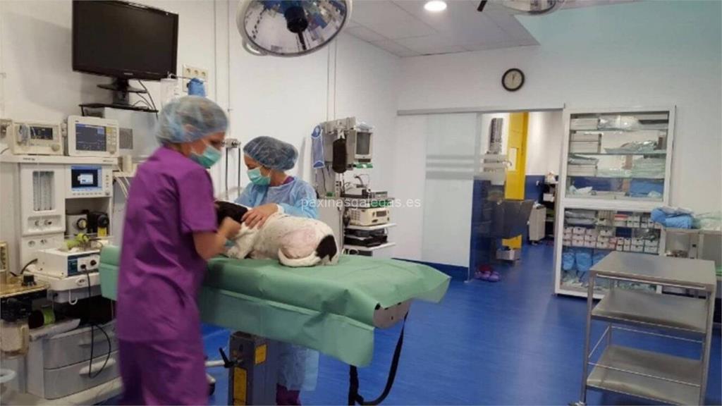 Clínica Veterinaria Somaza - Pérez imagen 11