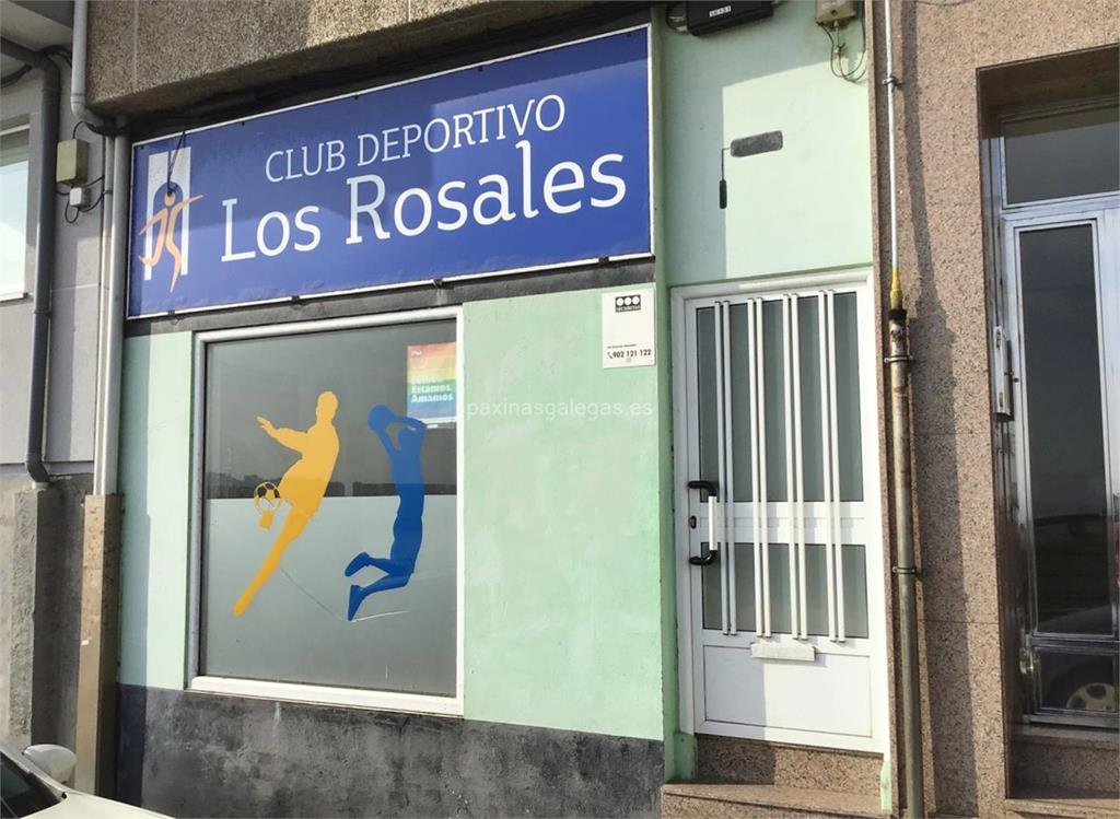 imagen principal Club Deportivo Los Rosales